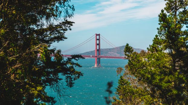 Muir Woods redwood day — San Francisco