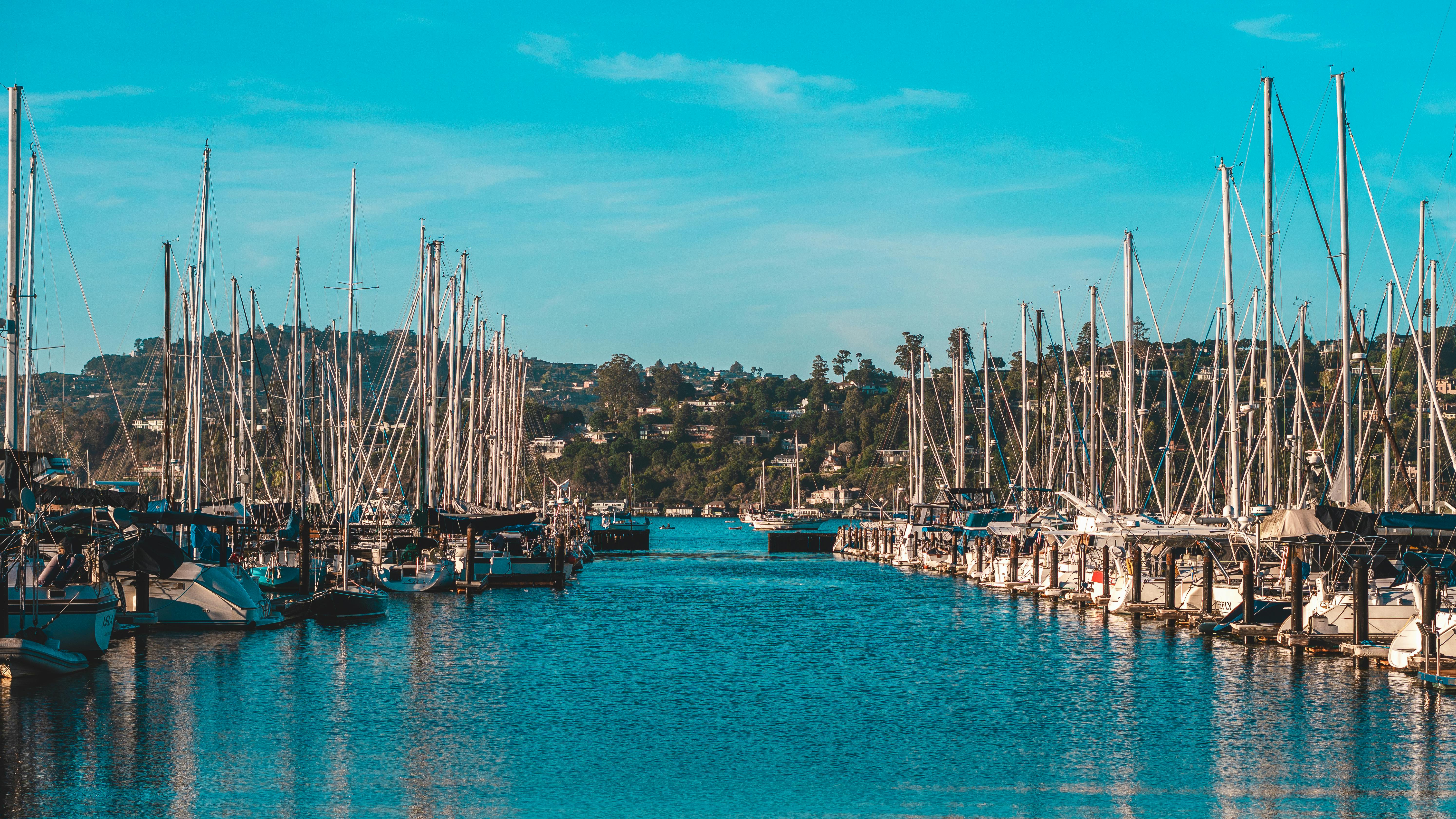 Free A tranquil harbor scene featuring moored sailboats against a vibrant blue sky and lush hillside. Stock Photo