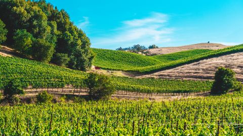 Recupera la productividad de tu granja tras un vaciado sanitario