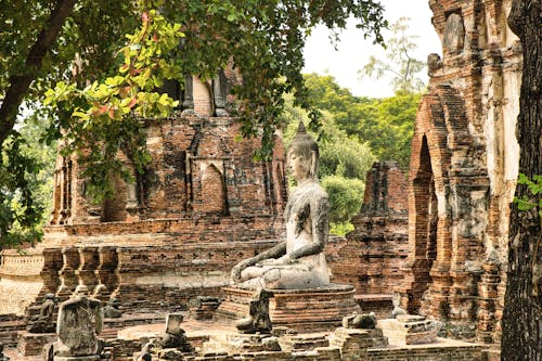 bezplatná Základová fotografie zdarma na téma ayutthaya, buddha, historický Základová fotografie