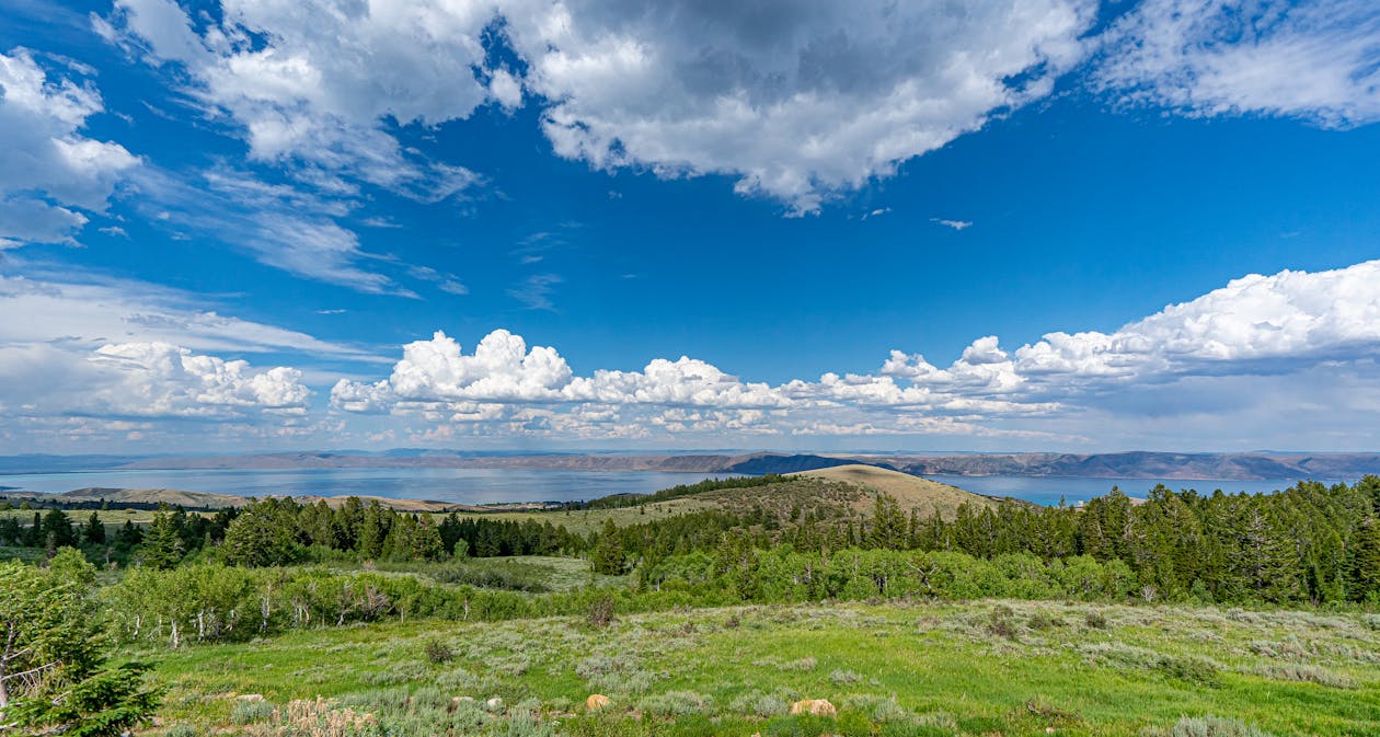 A Landscape under a Blue Sky 