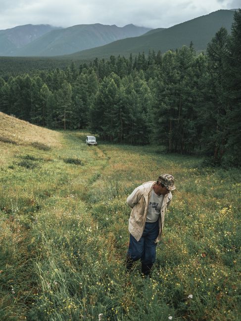 A man walks through a lush meadow in the Altai Republic with mountains in the background.