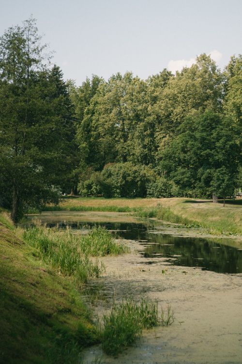 Free Lush riverbank scenery with tranquil water and dense green trees on a bright day Stock Photo