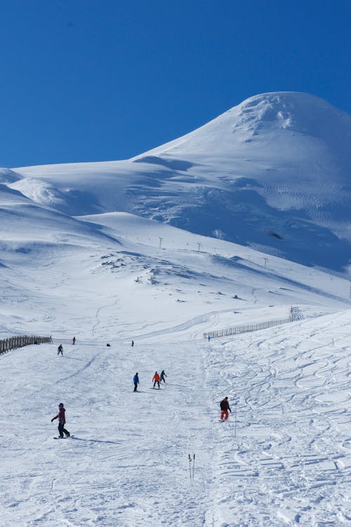 Free 

People Skiing in a Ski Resort Stock Photo