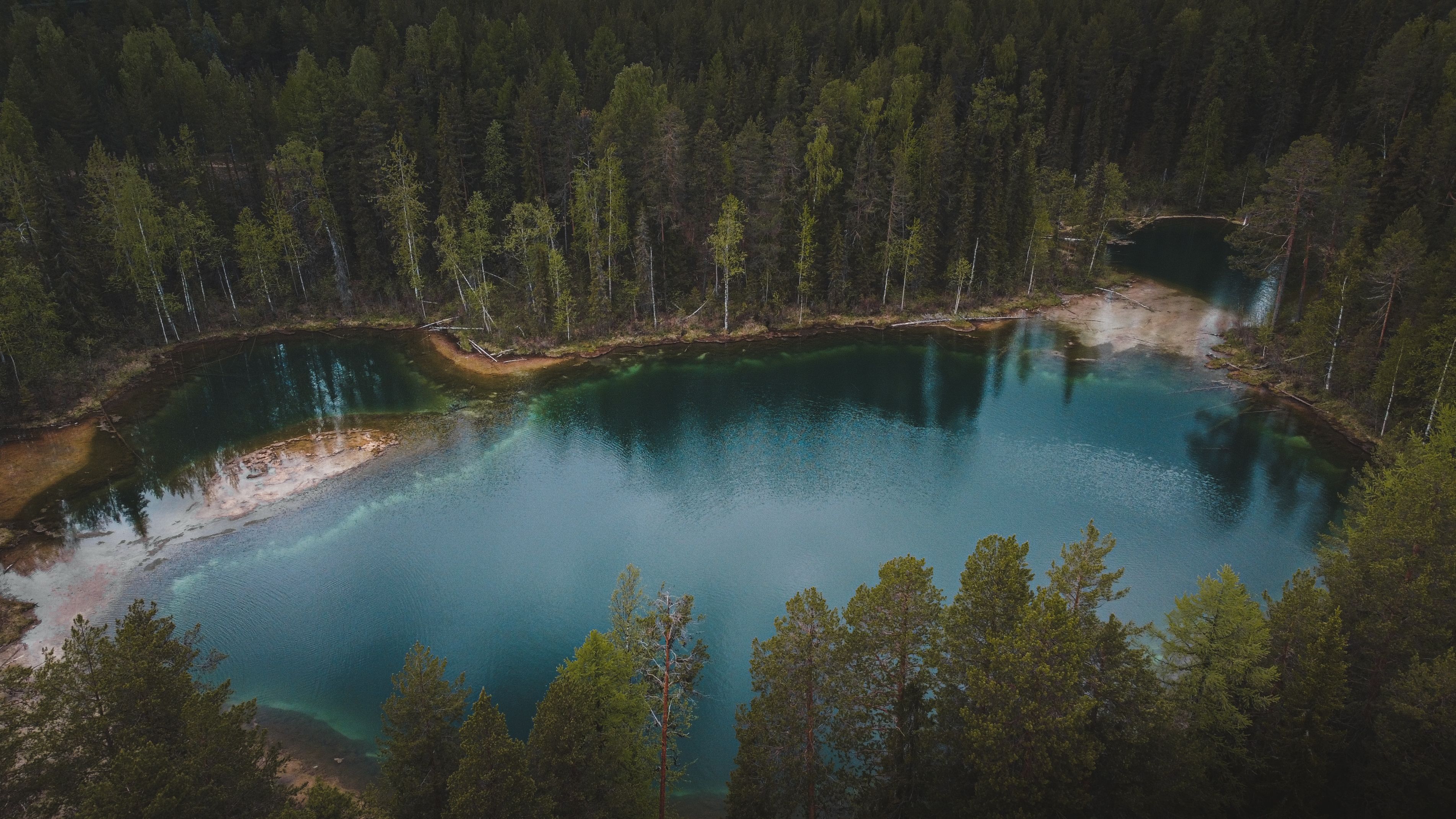 Stiller See umgeben von Wald