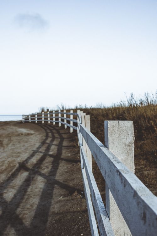 A Close-Up Shot of a Wooden Fence by the Road · Free Stock Photo