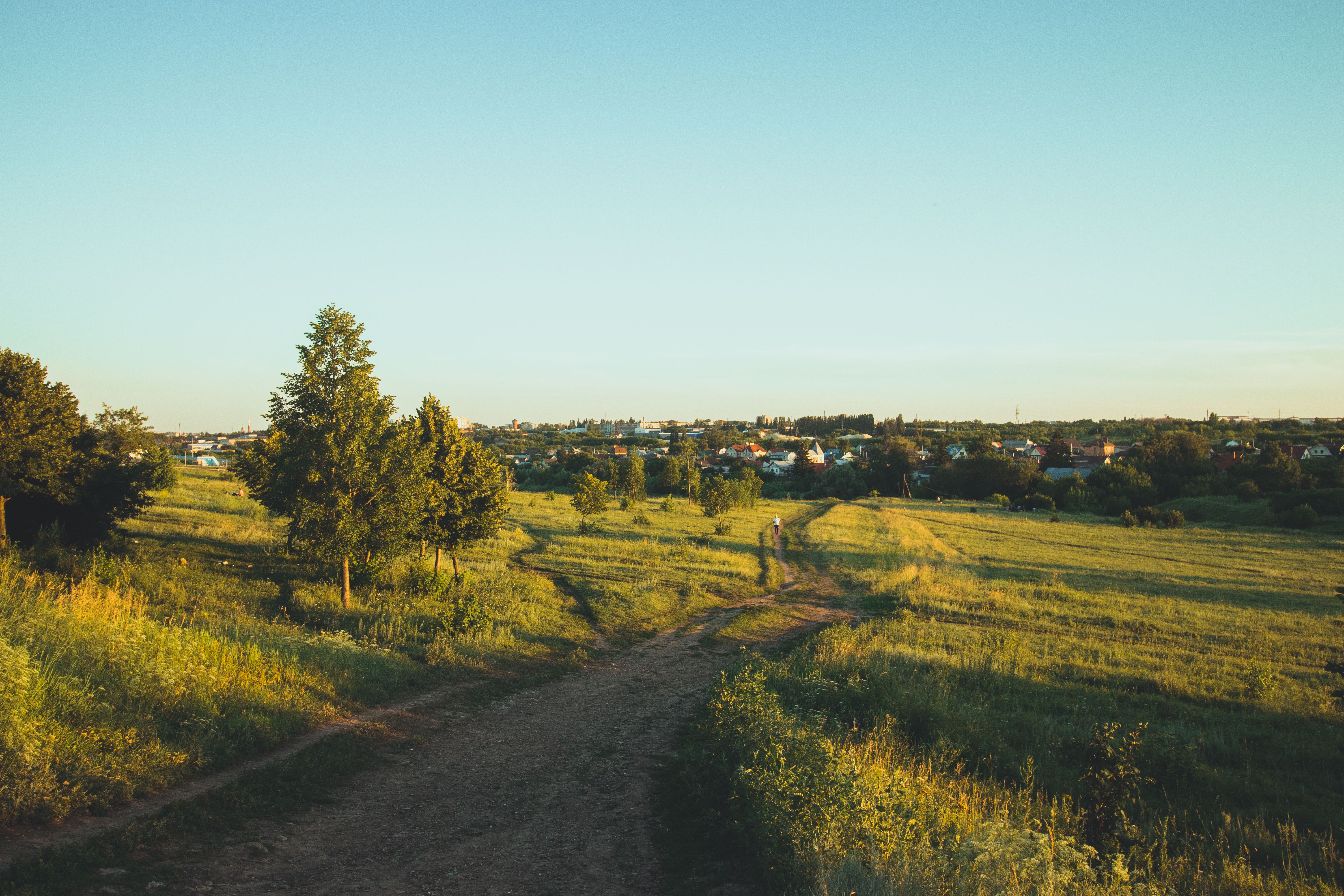 View of a Green Field · Free Stock Photo
