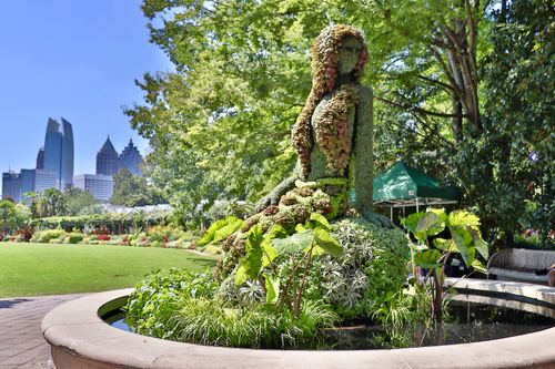 Free stock photo of atlanta, botanic garden, botanical Stock Photo