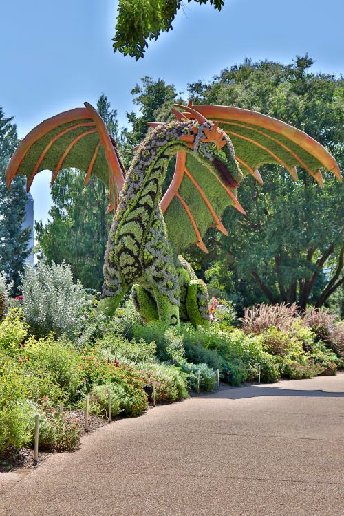 Free stock photo of atlanta, botanic garden, botanical garden Stock Photo