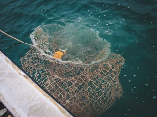 Kostenloses Stock Foto zu angeln, fischfalle, fischnetz