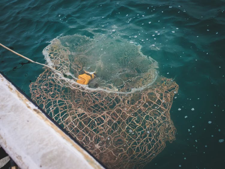 Fish Trap In Water
