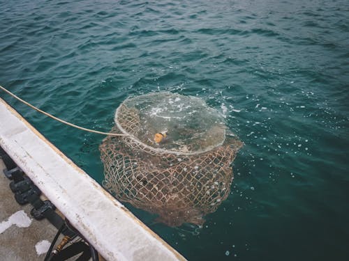 Kostenloses Stock Foto zu angeln, fischfalle, fischnetz