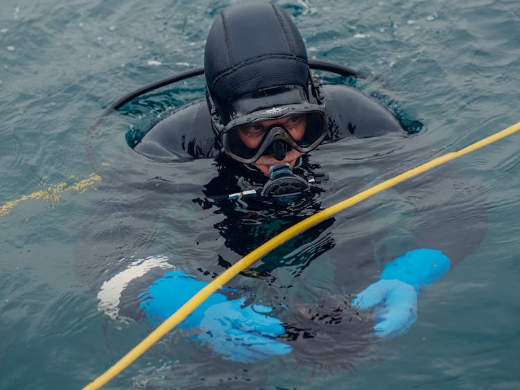 Scuba Diver On Water Surface Holding A Sea Urchin