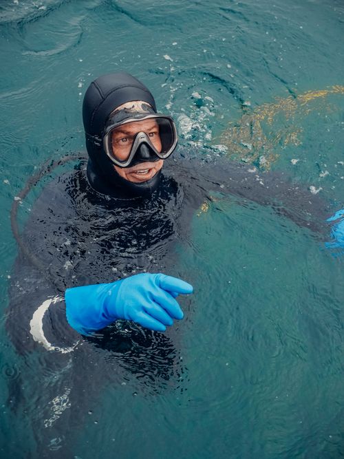 Free An adult diver in a wetsuit with gloves pointing while swimming in clear ocean water. Stock Photo