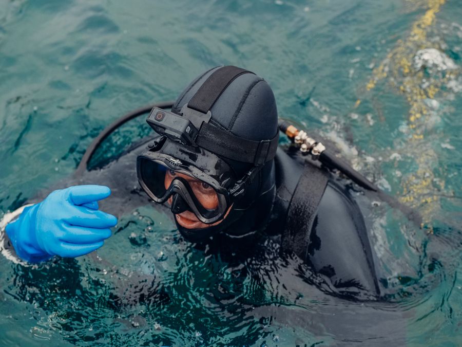 Diver in wetsuit swimming, seen from above