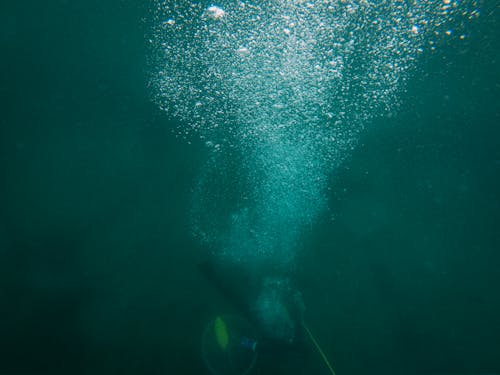 Δωρεάν στοκ φωτογραφιών με scuba, αυτοδύτης, αυτοκατάδυση