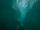 depth