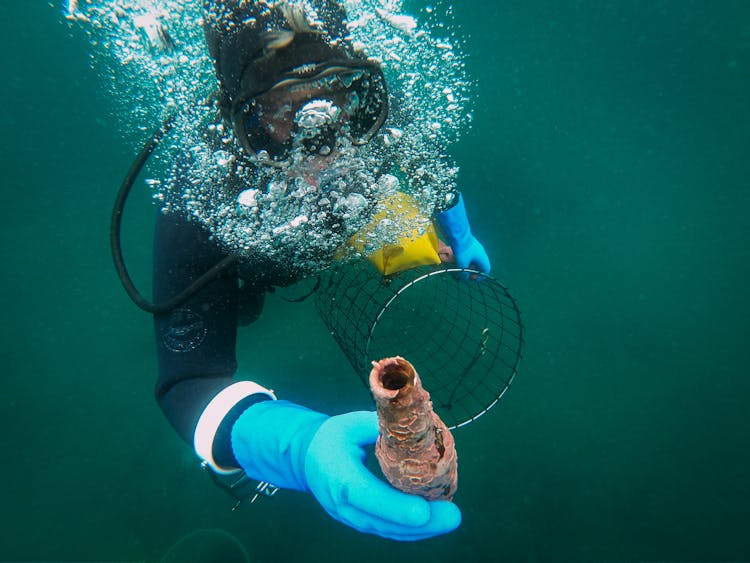 Scuba Diver On Deep Sea Holding A Net