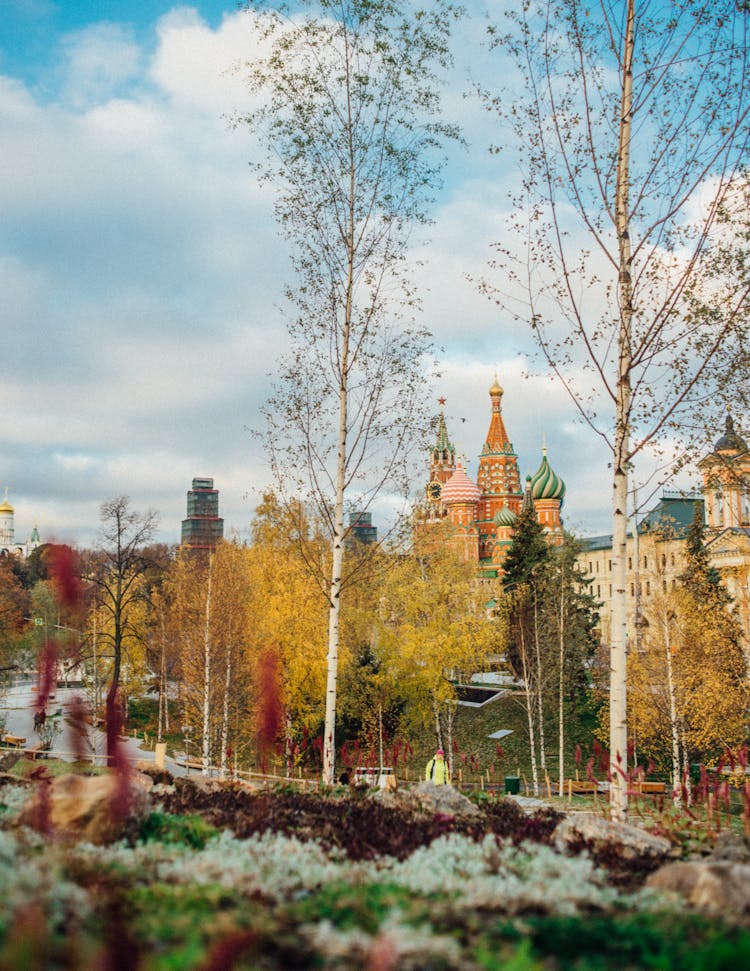 Public Park Trees With Saint Basils Cathedral In The Background