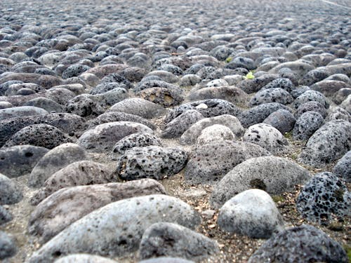 Brown Stones on Soil during Daytime