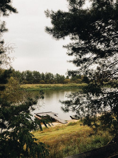 Brown Wooden Dock on Lake