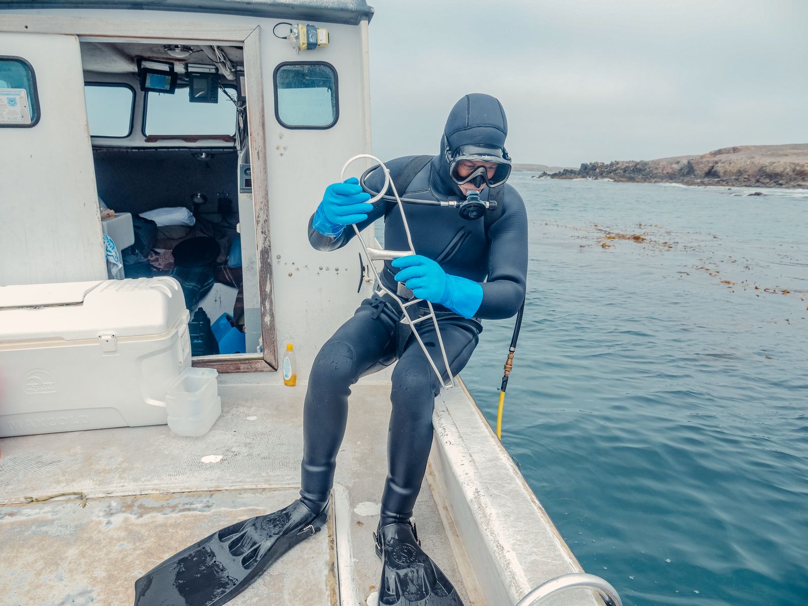 Same-Day Dive Trip Confirmations: How AI Reception Keeps Boat Bookings Moving