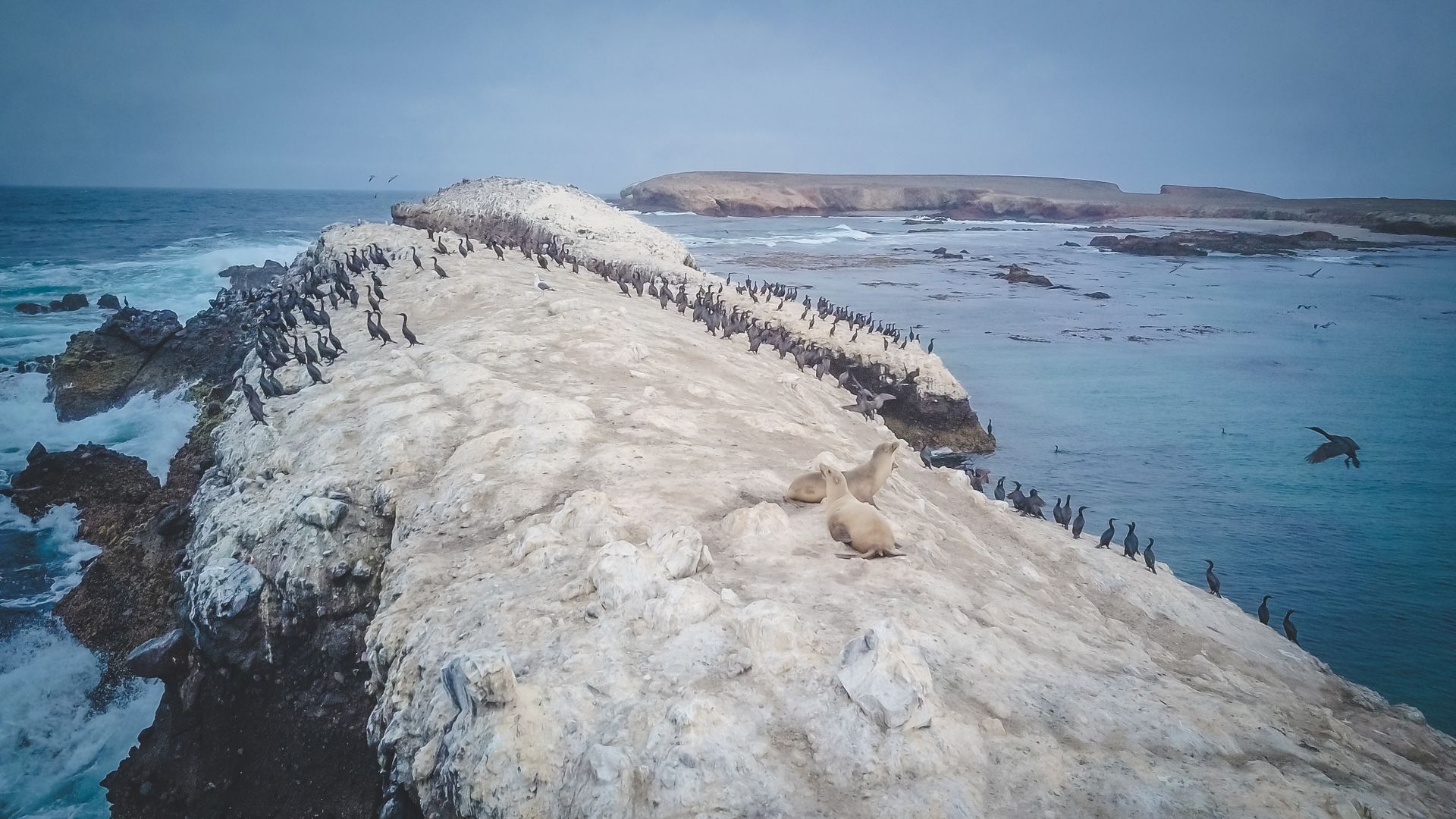 High Angle Shot of Bird Island