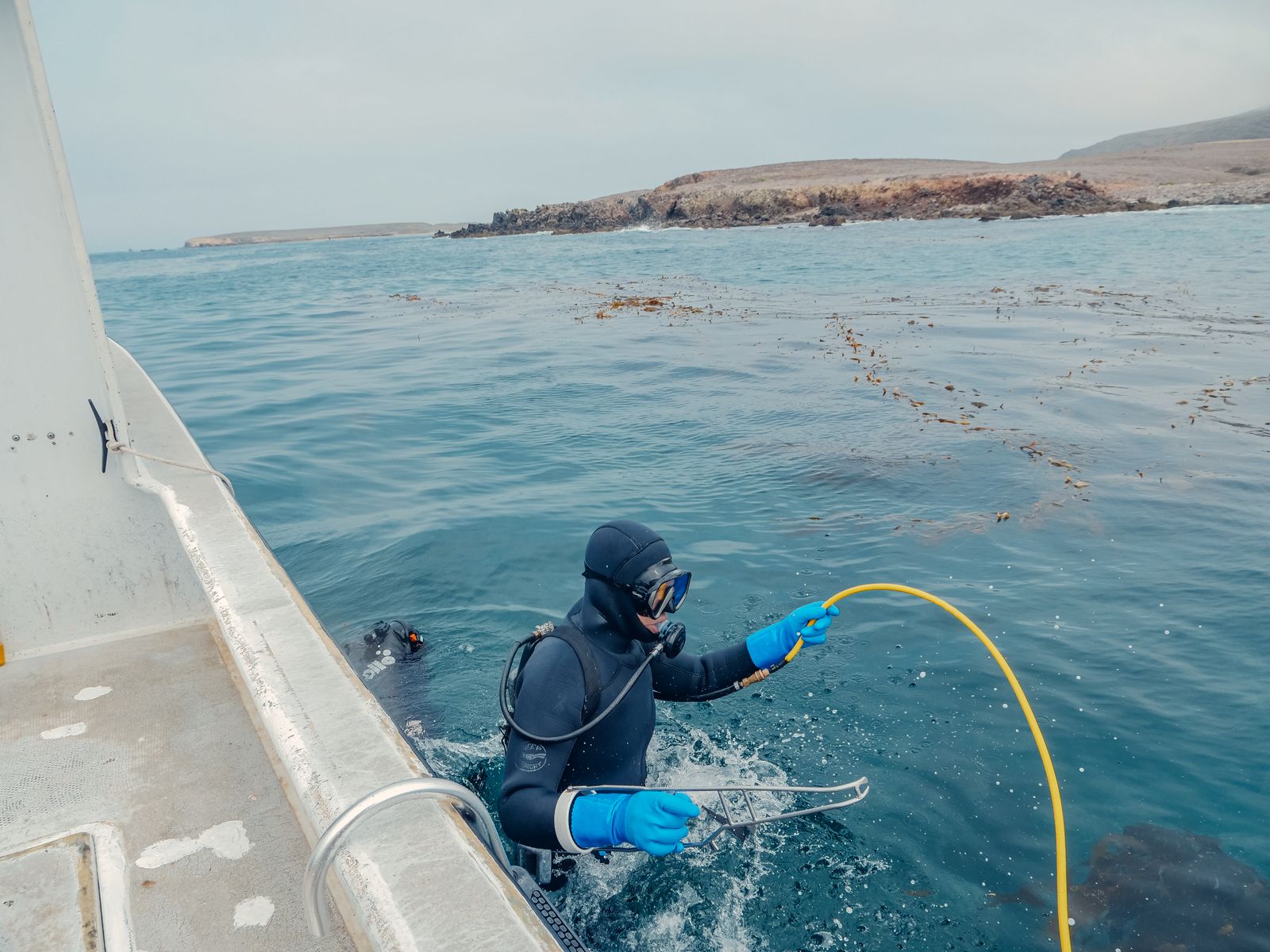 Course Inquiry Pipeline: How AI Reception Helps Dive Centers Turn Interest Into Certified Divers