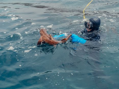 A diver interacts with a leopard shark in the ocean, showcasing marine life exploration.