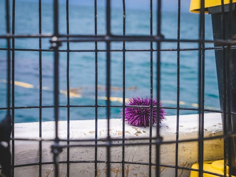 Unveiling the World: A Comprehensive Guide to Travel Tips - Jago Post