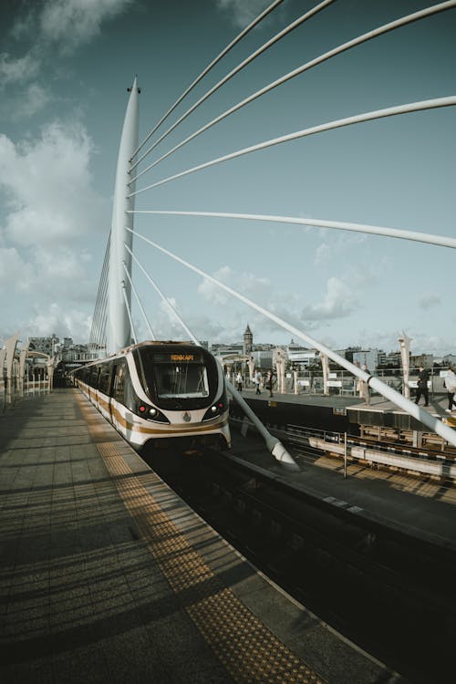 Základová fotografie zdarma na téma Istanbul, koleje, krocan