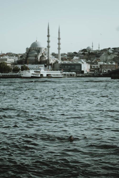 Fotobanka s bezplatnými fotkami na tému cestovný ruch, čierny a biely, Istanbul