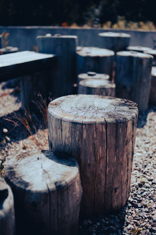 Free Close-up of wooden logs arranged as seating outdoors in natural setting. Stock Photo