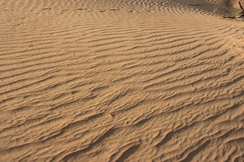 Free stock photo of desert, desert walk, sand