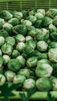 A close-up view of fresh Brussels sprouts piled in a green plastic basket, showcasing their vivid green color.