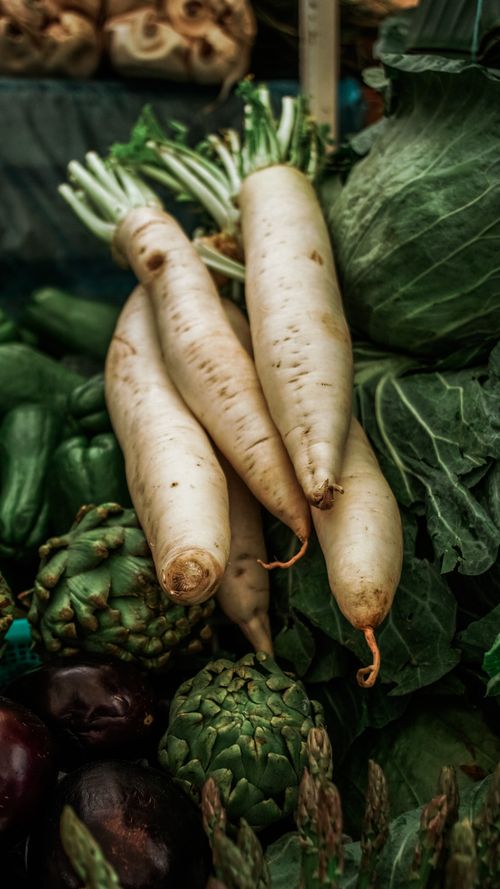 Free A vibrant assortment of fresh radishes, artichokes, and greens at Zacapoaxtla, Mexico market. Stock Photo