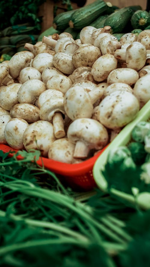 Δωρεάν στοκ φωτογραφιών με champignon, ανάμεικτα λαχανικά, λαϊκή αγορά