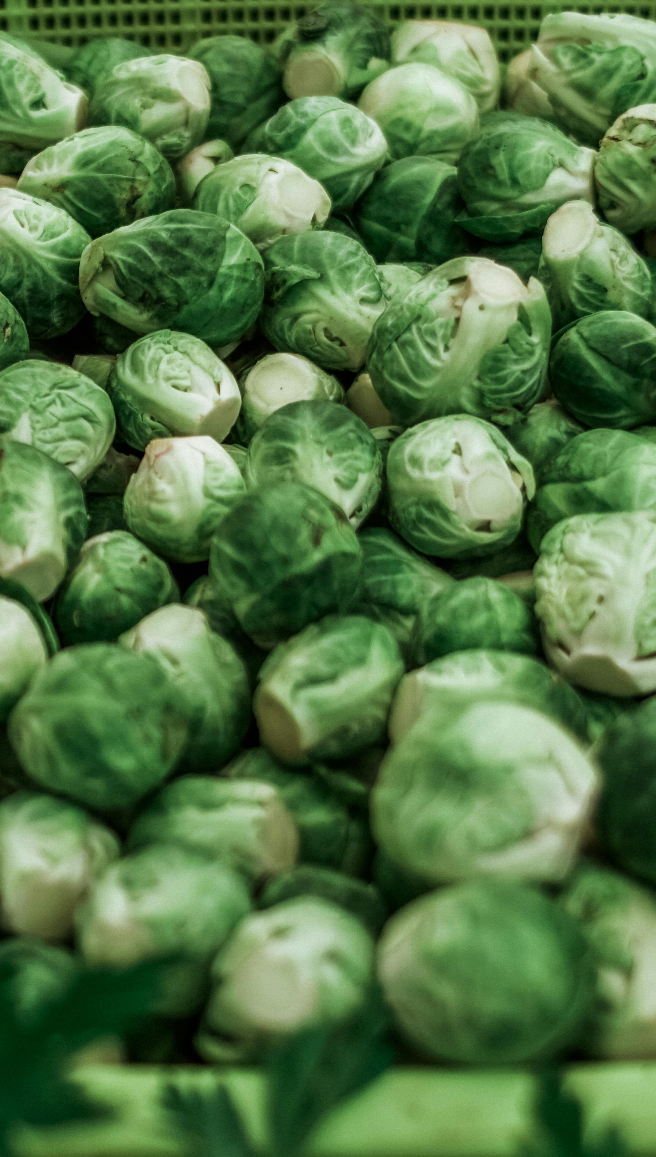 Green Round Vegetables · Free Stock Photo