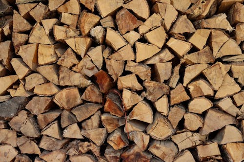 A Stack of Chopped Firewoods