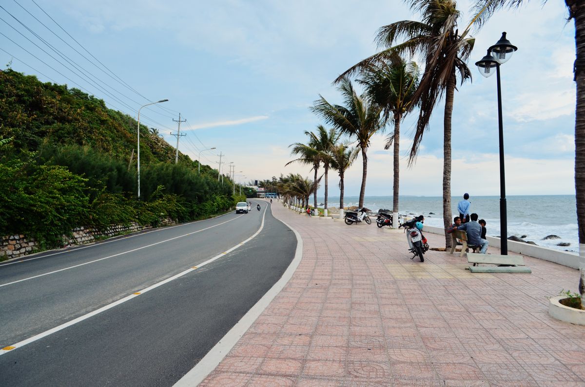 A row of palm trees lining a sunny Florida road
