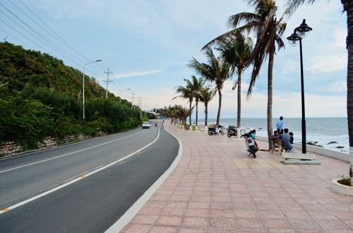 Free A tranquil seaside road lined with palm trees and benches, perfect for relaxation. Stock Photo