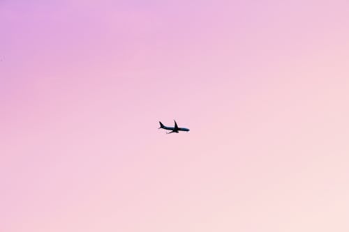 ฟรี คลังภาพถ่ายฟรี ของ การบิน, ท้องฟ้าสีชมพู, อากาศยาน คลังภาพถ่าย