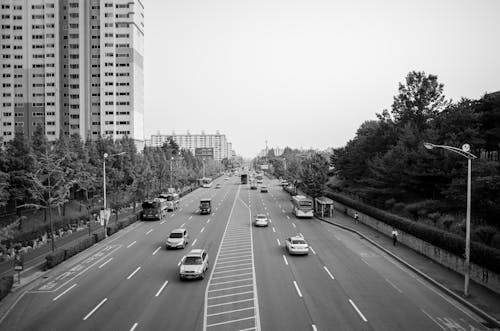 Grayscale Photo of Cars on the Road