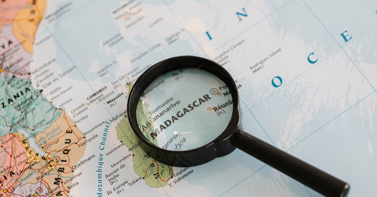 Cómo la RSE mejora ingresos de Madagascar mediante cadenas responsables y protege los bosques Cómo la RSE mejora ingresos de Madagascar mediante cadenas responsables y protege los bosques