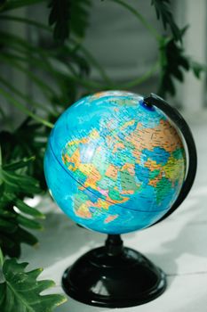 Vibrant globe on a stand surrounded by lush green plants. 8828602