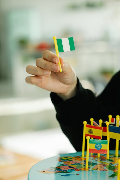 Person Holding a Toy Flag