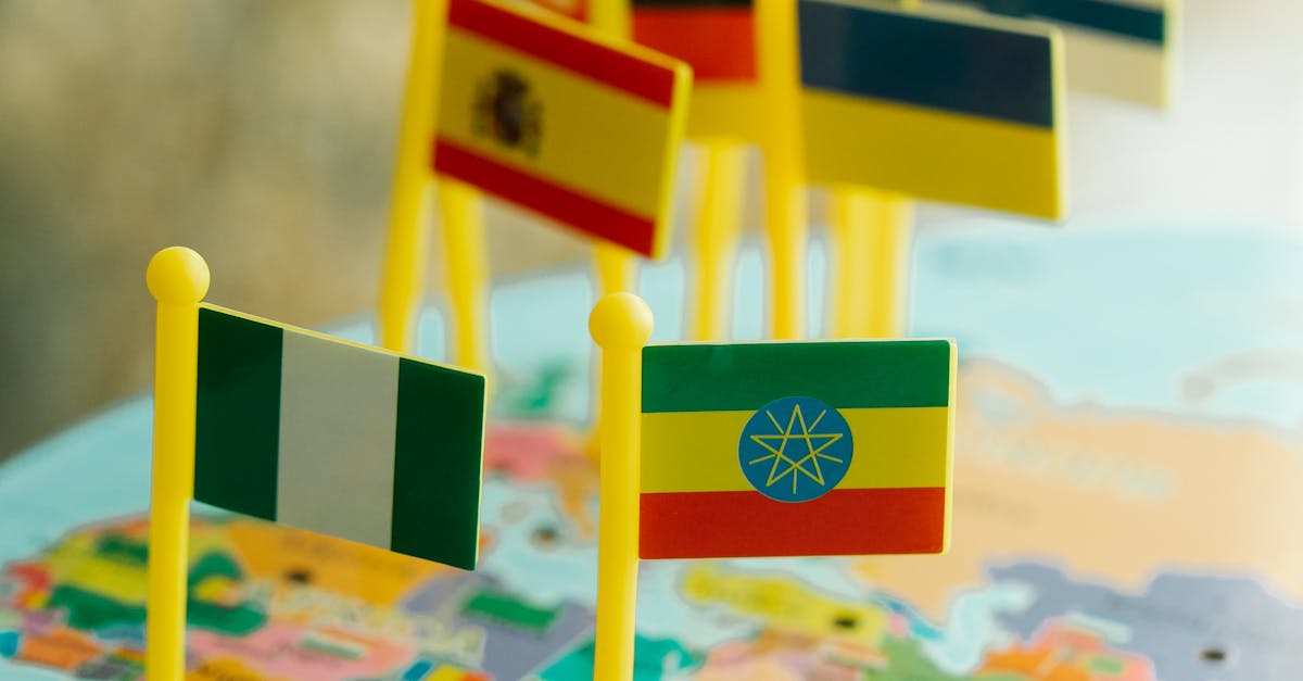 Asilo en punto crítico: razones del fallo y caminos a seguir