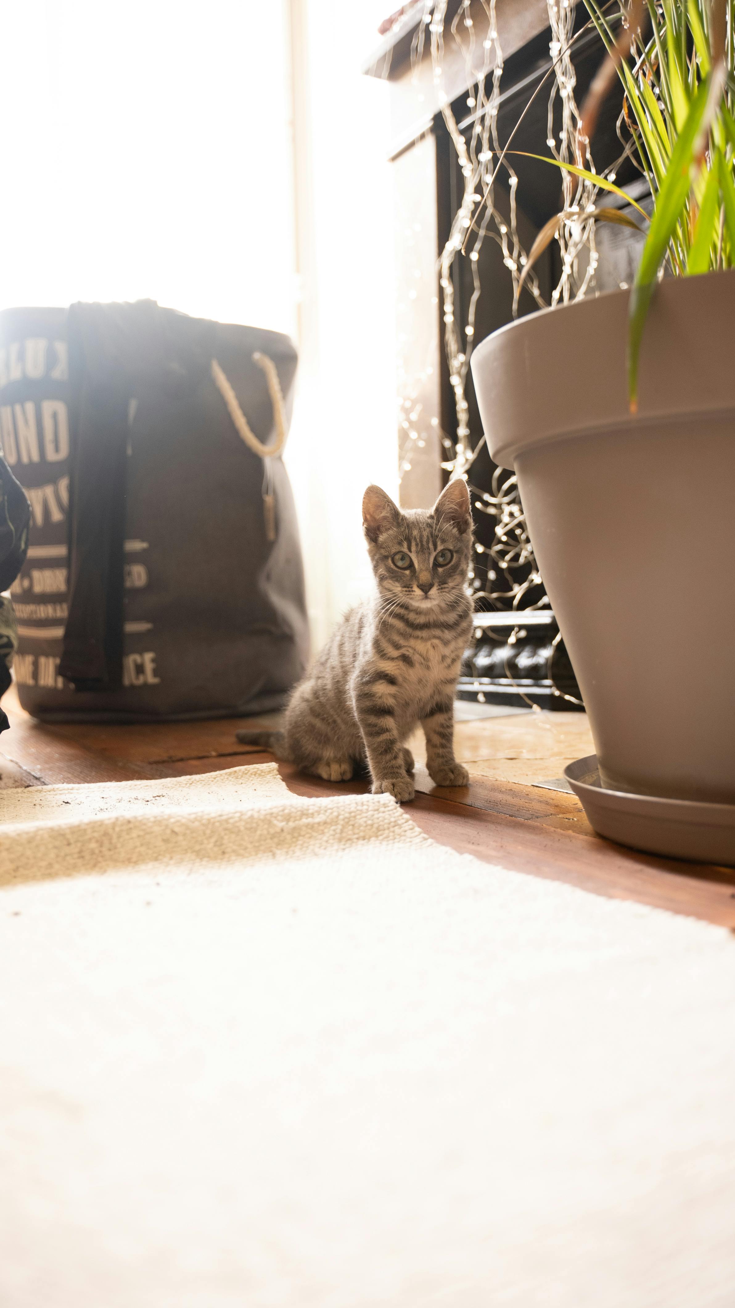 Property Management Best Practices in Nigeria