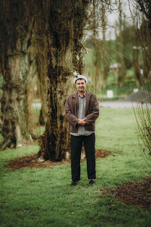 Imagine de stoc gratuită din arbori, armonios, fotografiere verticală