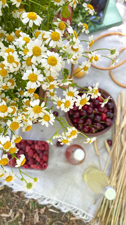 Free A vibrant picnic setup with chamomile, raspberries, cherries, and a bottle on a sunny summer day. Perfect for outdoor leisure. Stock Photo